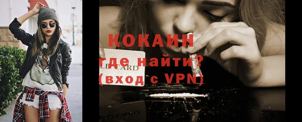 индика Магас