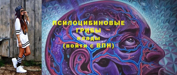 mix Медногорск