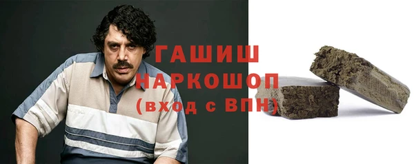 индика Магас