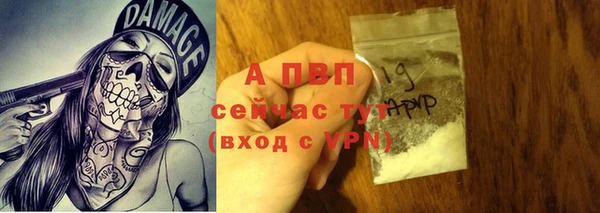 spice Магадан