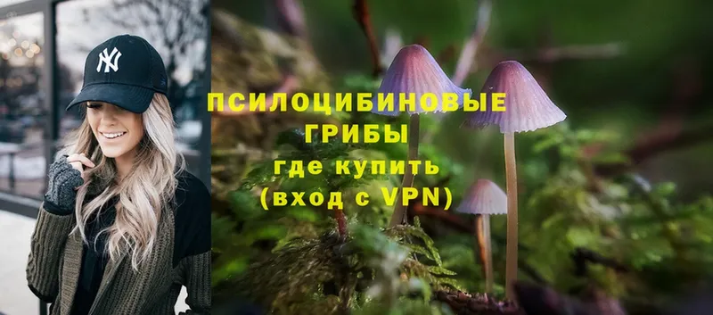 даркнет формула  Галич  Псилоцибиновые грибы Cubensis  ОМГ ОМГ ONION 